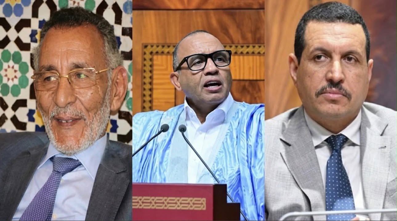 انتخابات الصحراء.. السباعي: «لن يترك الحركي الجماني التنافس ثنائيا بين البام والاستقلال » (حوار/ ح8)