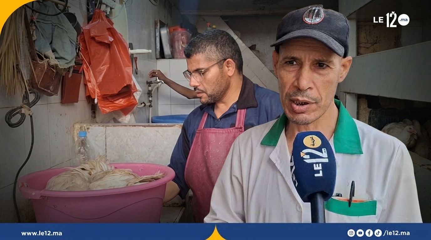 جولة في سوق الدجاج بسلا.. شنو قالو المواطنين على الأثمنة والجودة؟