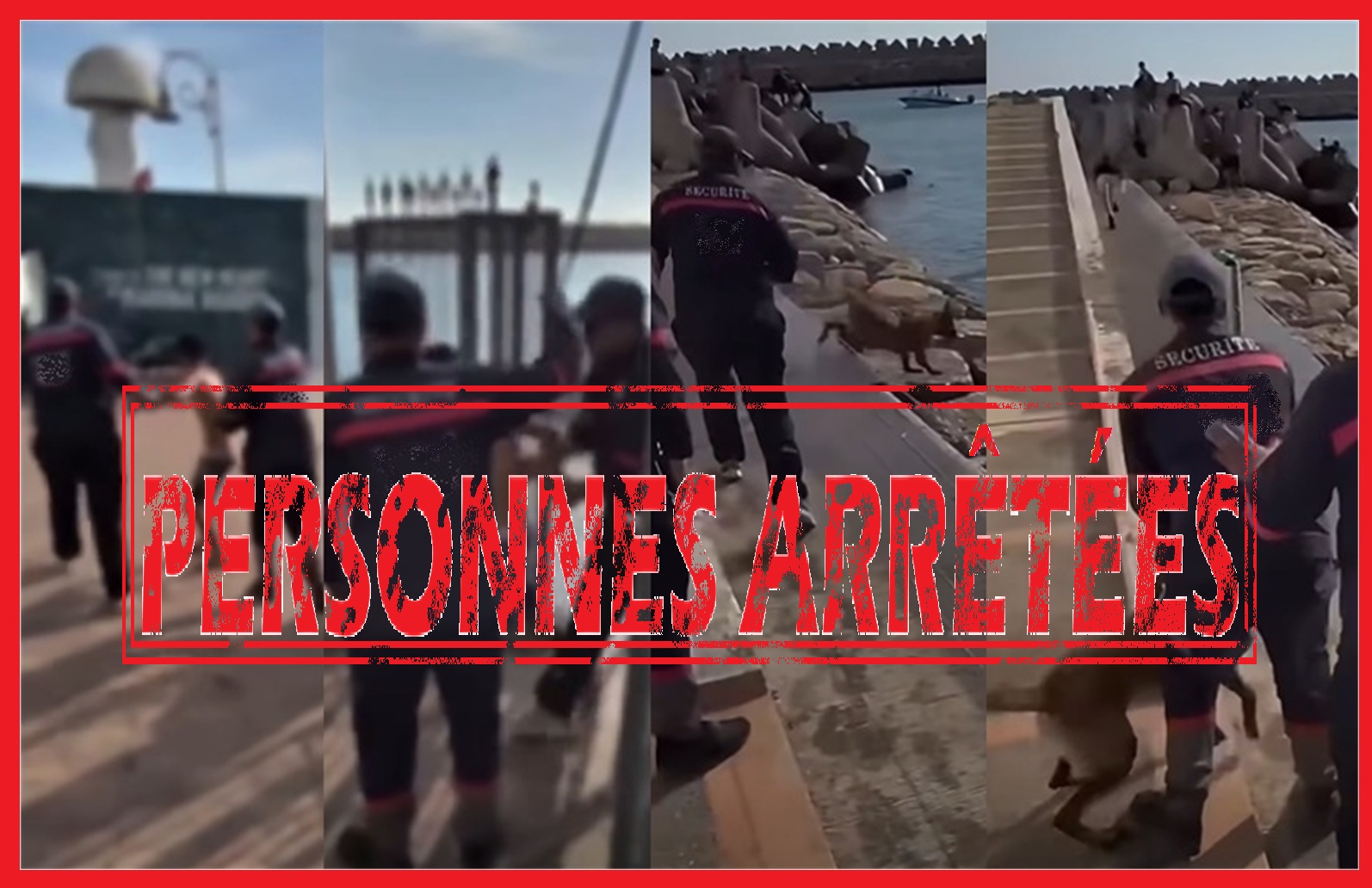 أكادير.. فيديوهات تعنـ.يف قـ.اصر وتحريض كلـ.ب شـ.رس بميناء مارينا تقود شخصين إلى العدالة