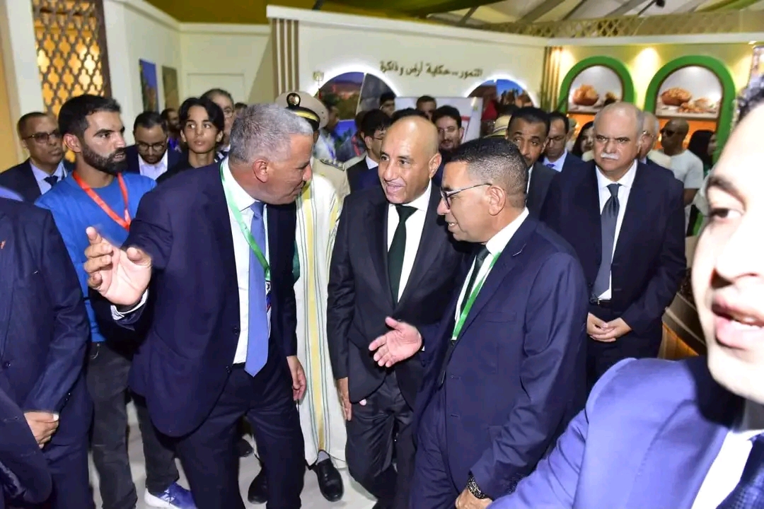 إنتاج التمور بالمغرب يقترب من 180 ألف طن.. والوزارة تراهن على ضبط الواردات والأسعار
